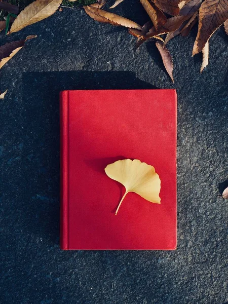 Red Book Autumn Maple Ginkgo Leaves — Stock Photo, Image