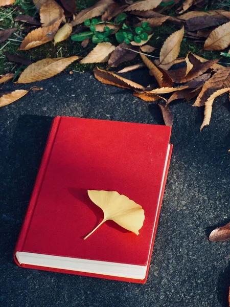 Czerwona Księga Jesienny Klon Liście Ginkgo — Zdjęcie stockowe