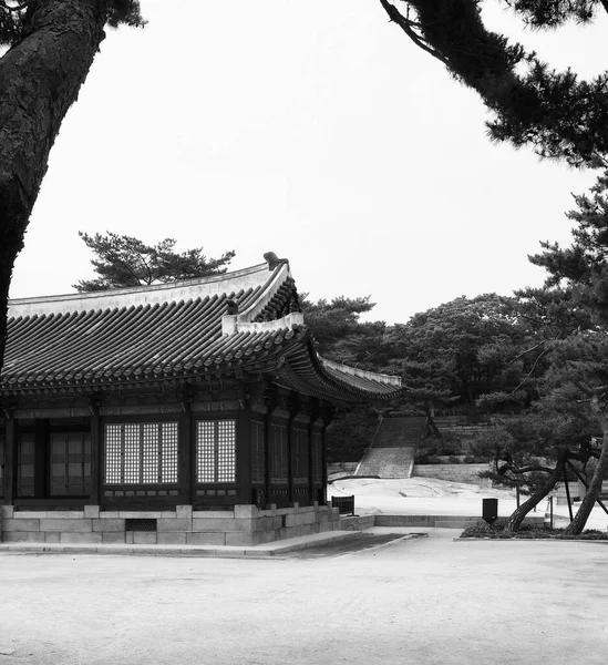 Palácio Tradicional Coreano Changgyeonggung Edifício Tradicional Monocromático Fotografias — Fotografia de Stock