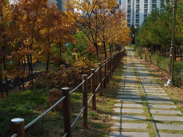 Bosque Carretera Parque Otoño Corea — Foto de Stock