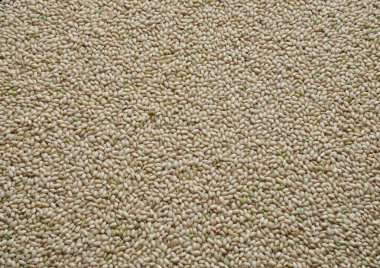 Kore 'de Organik Tahıl Kahverengi Pirinci