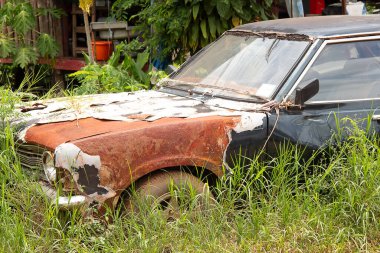 The old car was parked until it rusted, deteriorated and grass surrounded the car.