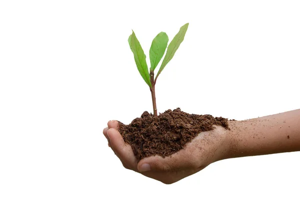 Green Plants Separate Hands Ground Legs Color — Stock Photo, Image