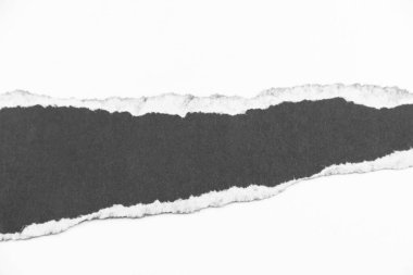 Kağıt şablon alanı oluşturmak için yırtılıyor. Metin alanı Tasarım ve reklamlar için boş alan veya tasarım arka planı olarak kullanılır.