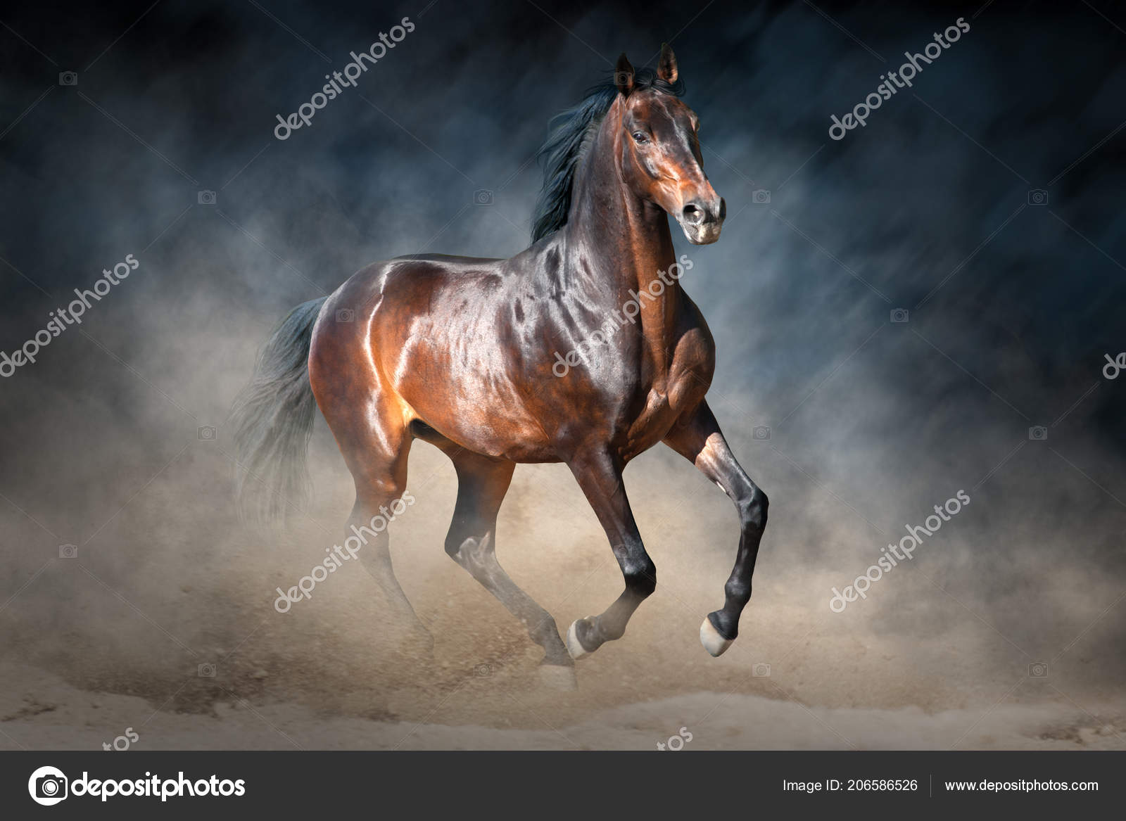 Caballo Galope Desierto Polvo Contra Fondo Dramático Oscuro — Foto de stock  #206586526 © kwadrat70, image size:1600x1167