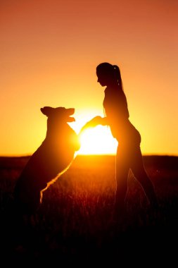 Gün batımında Alman shephard köpek ve kız portre siluet