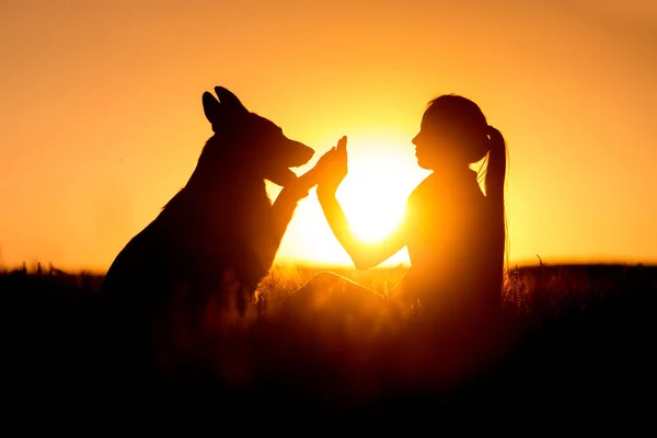 Gün batımında Alman shephard köpek ve kız portre siluet