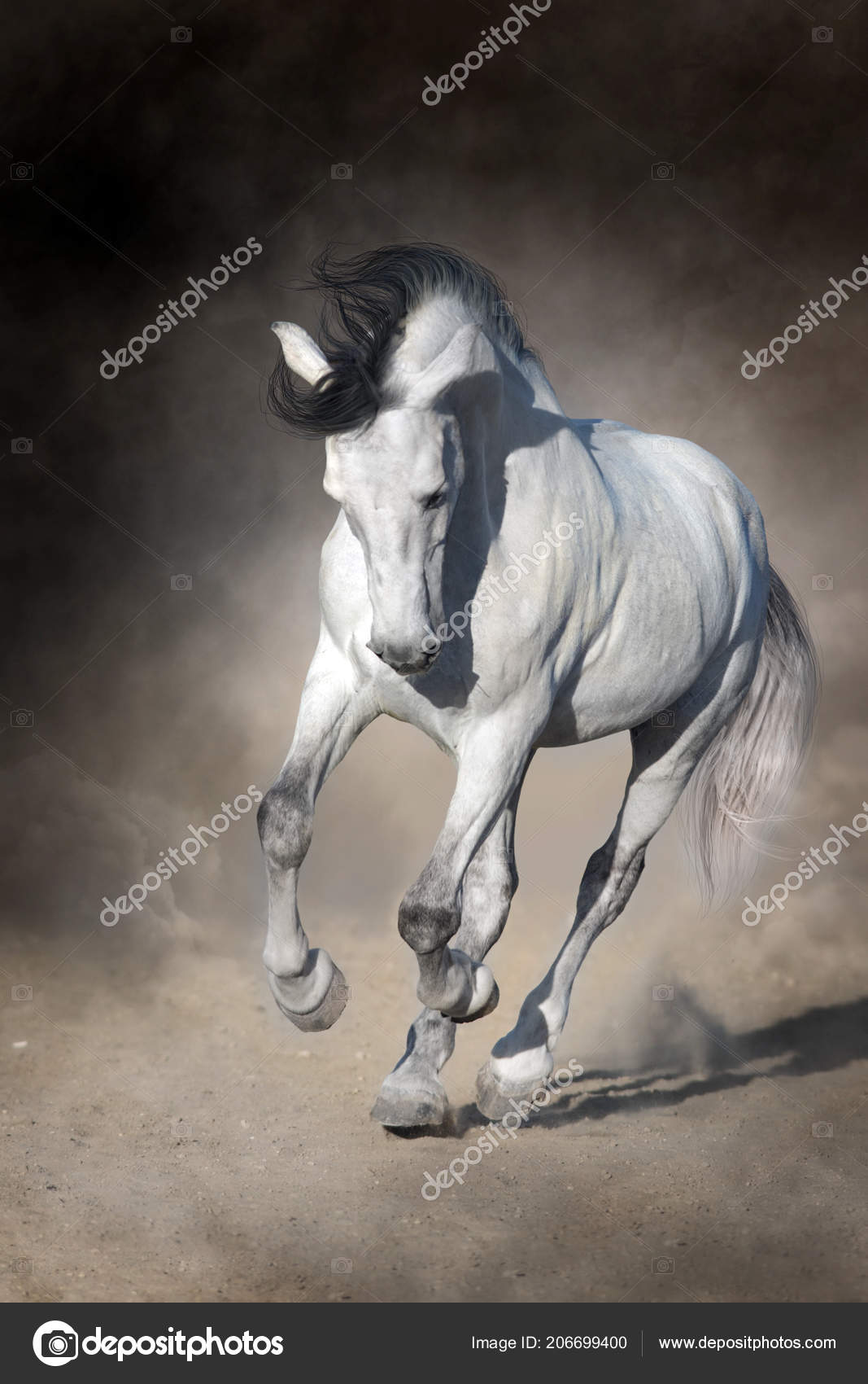 Caballo Blanco Con Melena Larga Galope Polvo Del Desierto Contra — Foto de  stock #206699400 © kwadrat70, image size:1067x1700