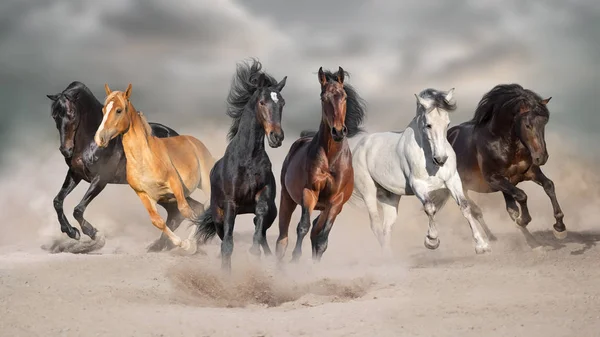 Konie Uruchom Galop Wolna Pustynnym Kurzem Burzy Niebo — Zdjęcie stockowe