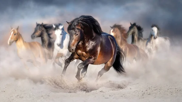 Horse Rebanho Executar Galope Deserto Contra Céu Dramático — Fotografia de Stock