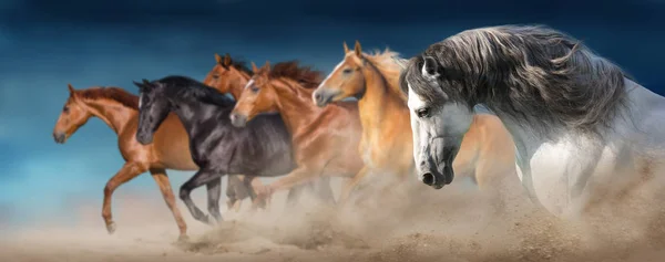 Horse Rebanho Executar Galope Deserto Contra Céu Dramático — Fotografia de Stock