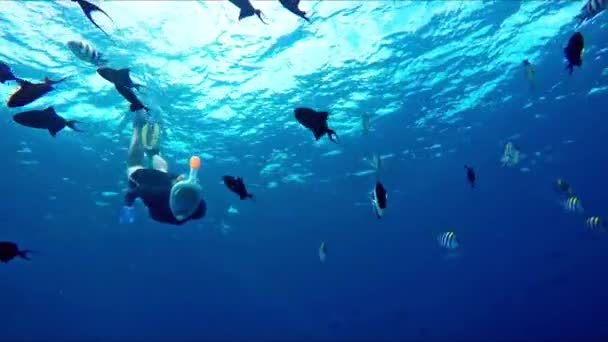 Cute snorkeling girl waving into the camera — Stock Video