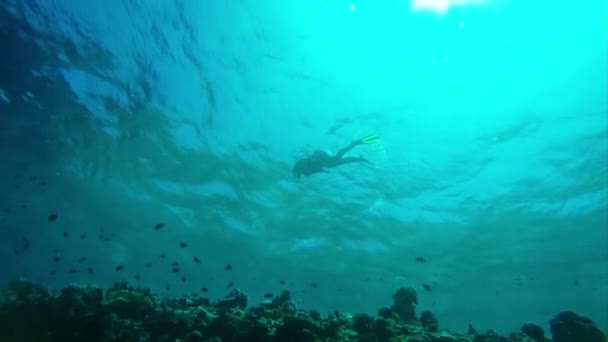 Snorkelen meisje zwemmen door de golven - uitzicht vanaf het diepe — Stockvideo