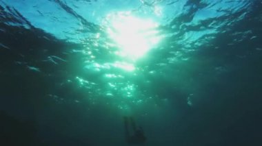 Şnorkel kız kameraya doğru - arkadan aydınlatmalı Yüzme