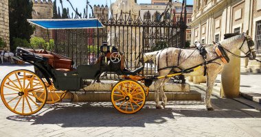 siyah Sevillian at arabası içinde siyah lekeli beyaz at. Seville bölgesinde.
