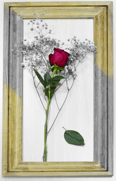 Red Rose Photo Frame Photo Frame Wood Silver Colors Day — Stock Photo, Image