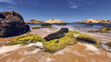 bir plaj turkuaz mavi kristal su.