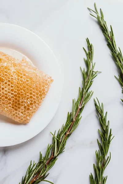 Elevated view of plate with honeycomb and rosemary on marble table — Stock Photo