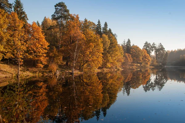 Göl kenarındaki sonbahar ormanı