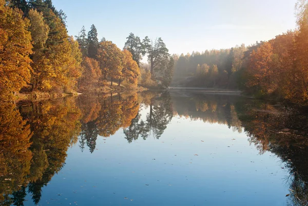 Sonbahar ormandaki göl güneşli sabah