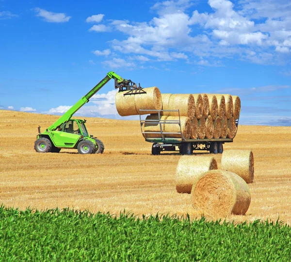 Stacking Straw Rolls Large Field — Stock Photo, Image