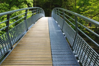 Ahşap ve metal bir ormandaki yaya köprüsü  