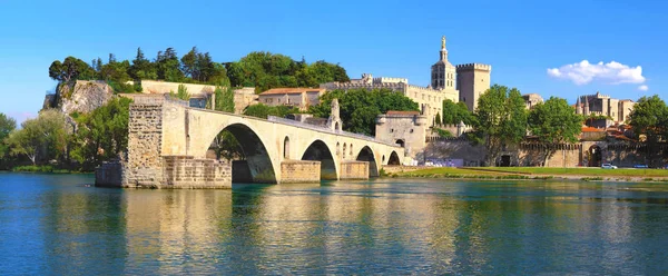 Avignon Papaların Sarayının Önünde Rhne Üzerinde Köprü Saint Benezet Provence — Stok fotoğraf