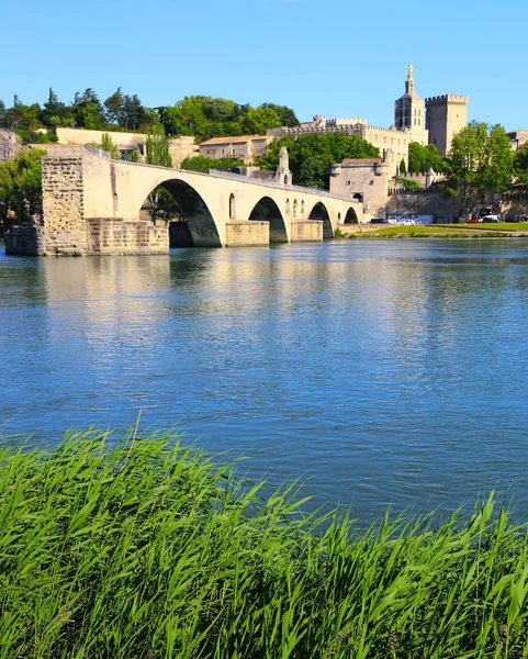 Die Brücke Von Avignon Der Palast Der Päpste Und Die — Stockfoto