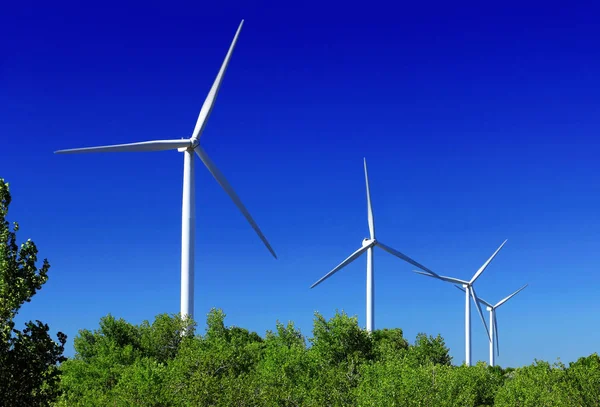 Wind Turbines Natural Field Blue Sky Background — Stock Photo, Image