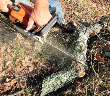 Ateş için odun kesme