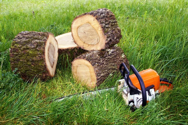 Palivové Dřevo Řezání Řetězovou Pilou — Stock fotografie
