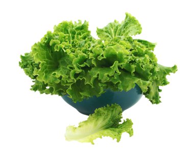 Salata beyaz arka plan üzerinde izole ıslatmak için                        