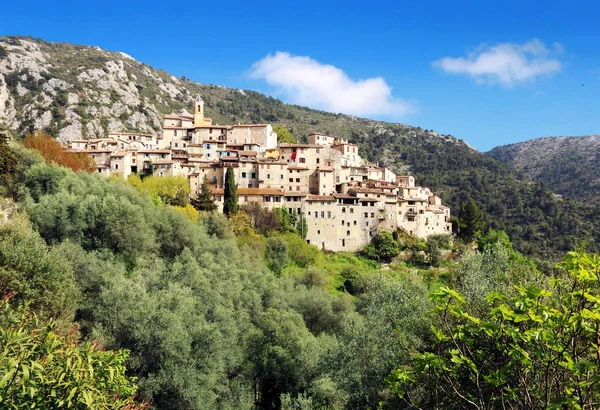 Small Village Peillon Olive Trees French Riviera — Stock Photo, Image