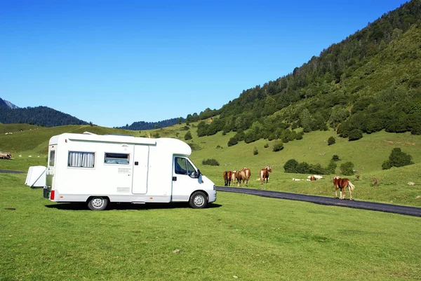 Autocaravanas Caballos Las Montañas — Foto de Stock