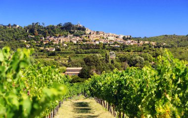 Provence'daki Bonnieux köyü üzüm bağlarına bakıyor. Fransa