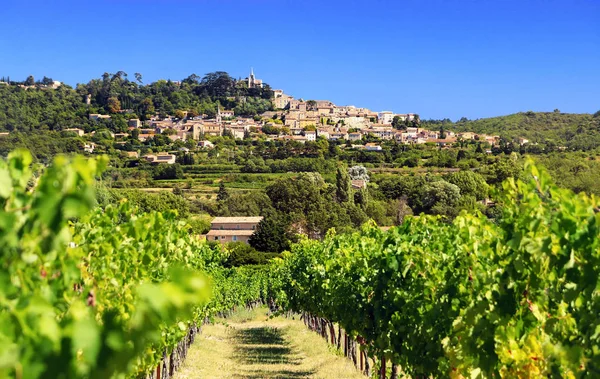 Provence'daki Bonnieux köyü üzüm bağlarına bakıyor. Fransa