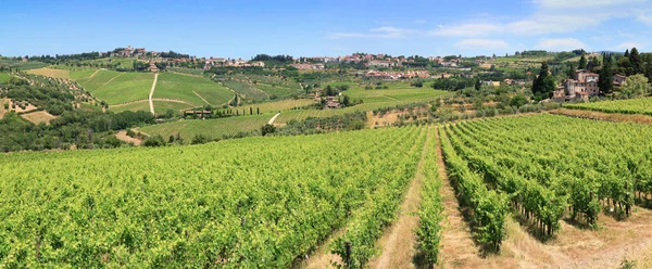 Landscape Vineyards Chianti — Stock Photo, Image