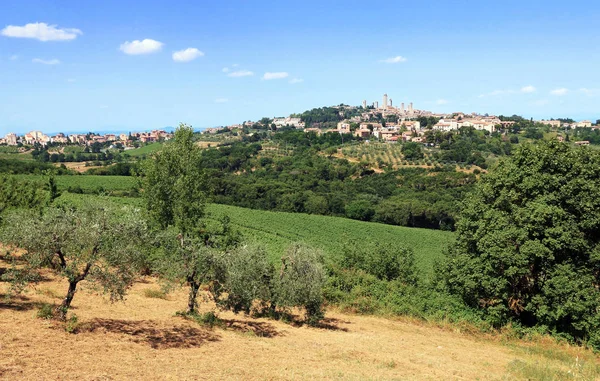 Сельская Местность Сан Джиминьяно Тоскана — стоковое фото