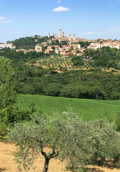 Heuvel Van San Gimignano Toscane — Stockfoto