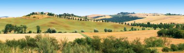 Toskana 'da Siena' nın çevresindeki manzara