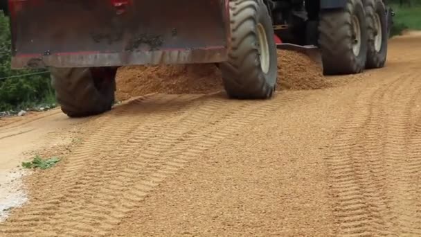 砂利の上で行動している採点者の正確な仕事 — ストック動画