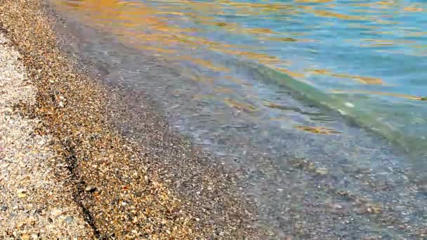 Pequenas Ondas Quebrando Uma Praia Seixos — Vídeo de Stock