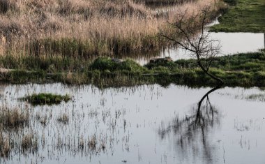 sessiz küçük kasaba Marganets el değmemiş doğası.