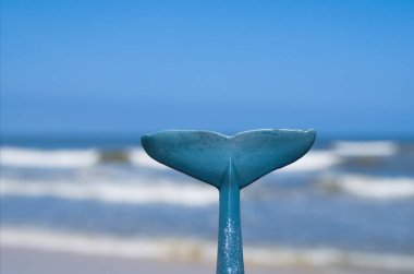 bir mavi balina kuyruğu