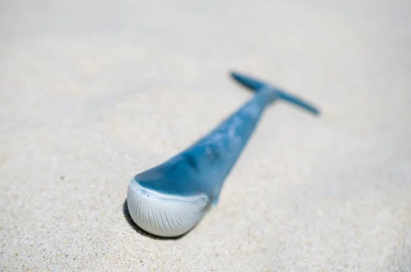 ビーチで青いクジラ — ストック写真