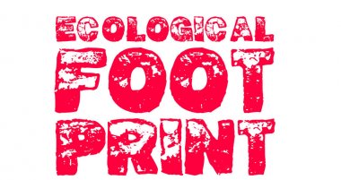 Grphic kelimeleri ile: ekolojik ayak izi