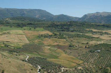 Yaz aylarında Endülüs manzara, Granada yakın, İspanya