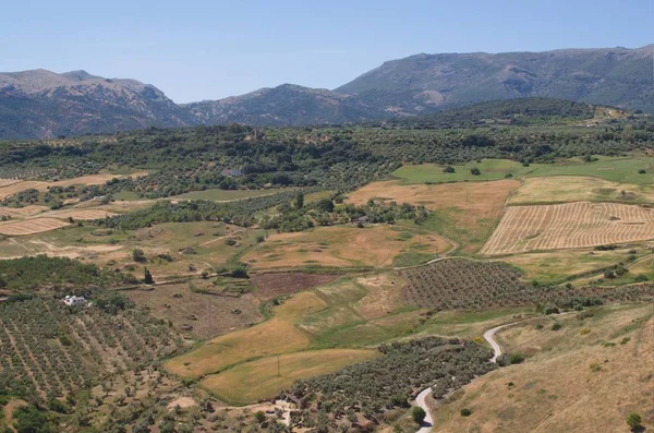 Andalusian Landscape Summer Granada Spain — Stock Photo, Image