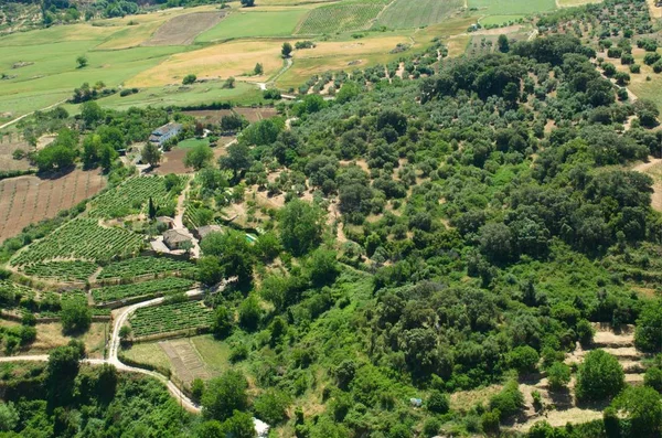 Andalusian Landscape Summer Granada Spain — Stock Photo, Image