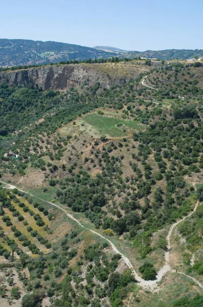 Andalusian Landscape Summer Granada Spain — Stock Photo, Image